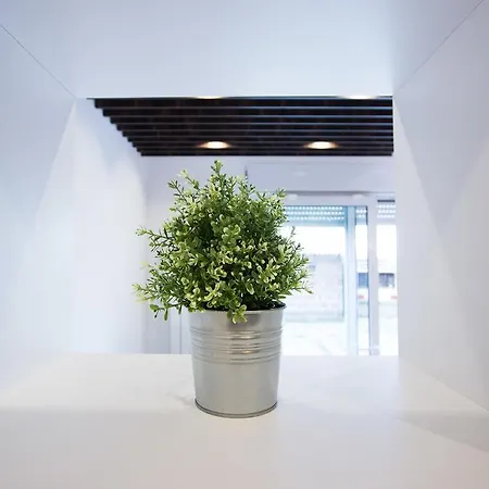 The Boutique Apartament Belgrad